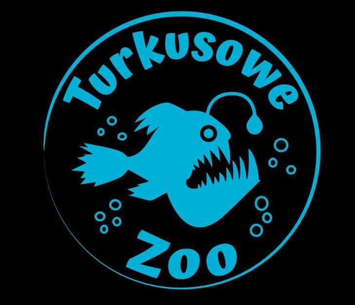 Rybka Akwariowa FANTOM CZARNY, Sklep Akwarystyczny Turkusowe Zoo