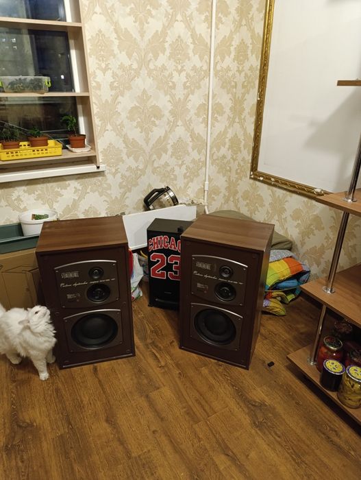 Корвет 35АС 028 акустика