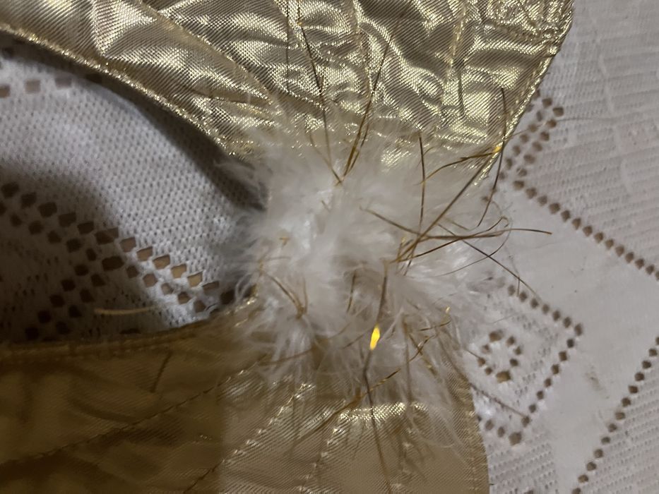 Золоті крила ангела карнааальні