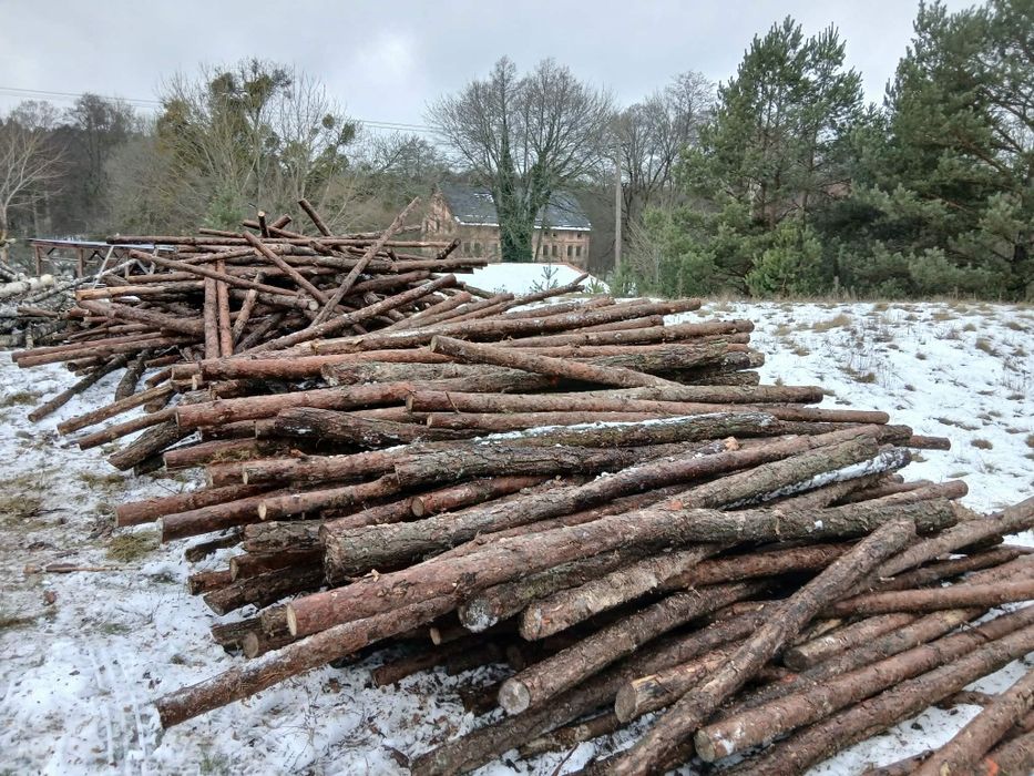 Drewno opałowe..