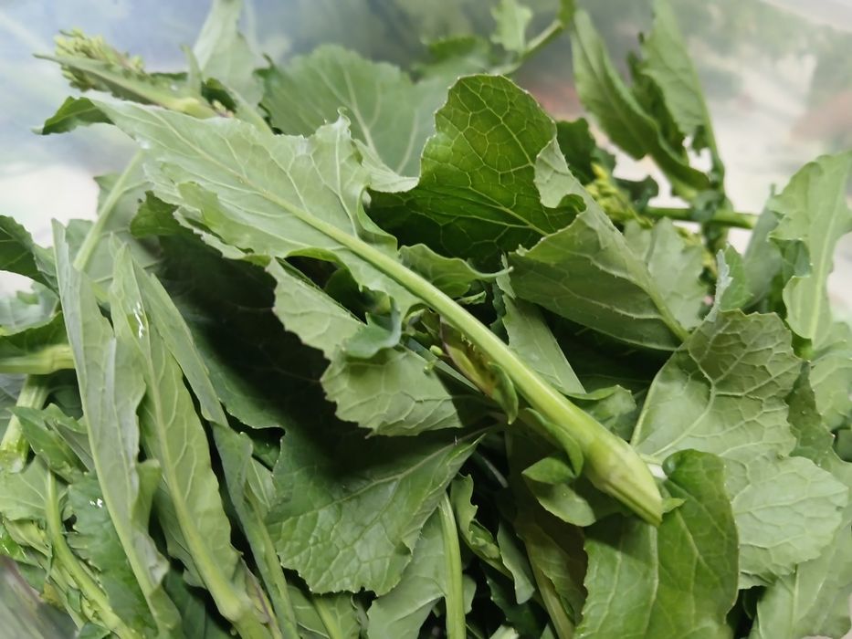 Grelos de Nabos  Biológicos NC