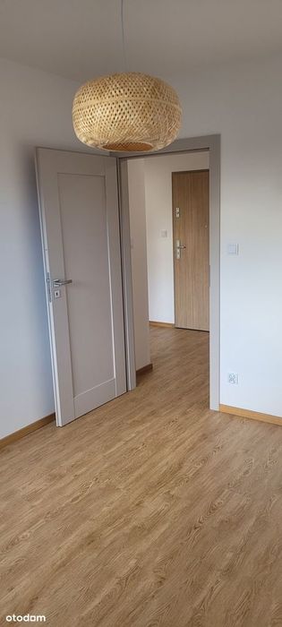 Nowe mieszkanie do wynajęcia!