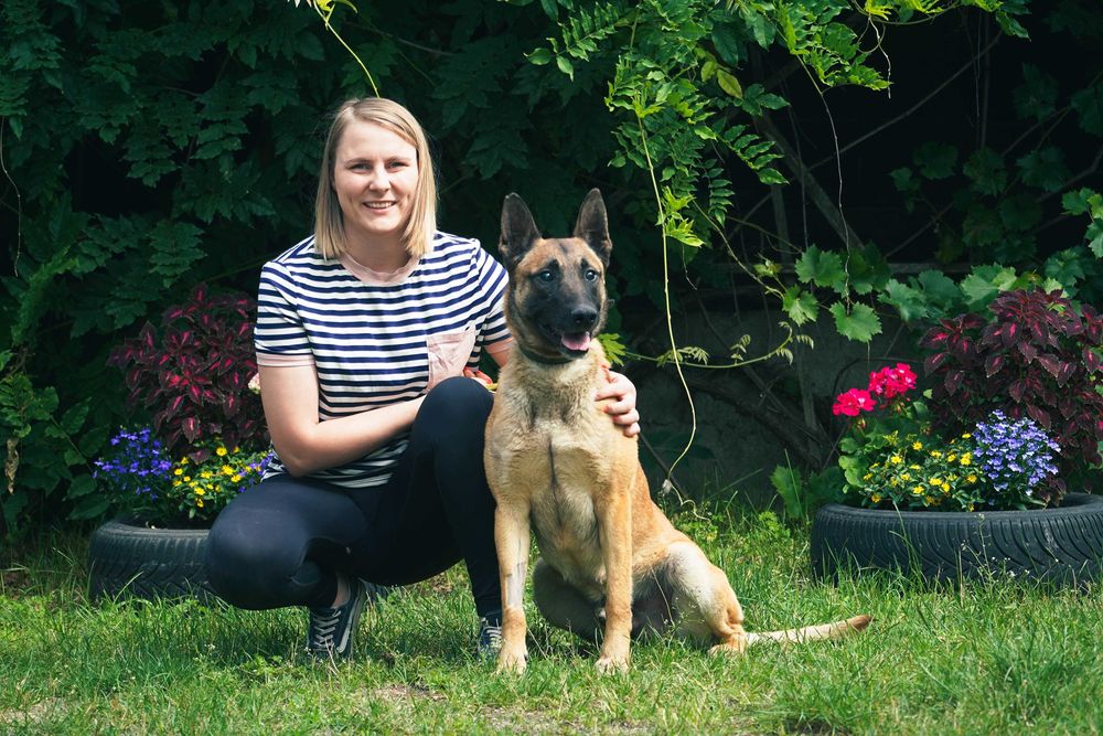 Baron - niewidomy pies szuka domu - w typie owczarek belgijski