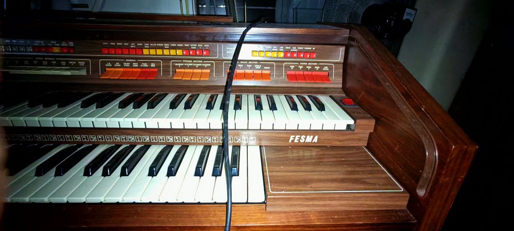 Orgão Musical F-150 32 Rhythm  - Como Novo