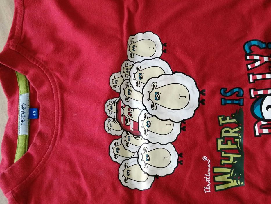 Camisolas manga curta