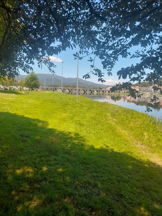 Faço pequenos serviços de jardim   e limpeza de terrenos