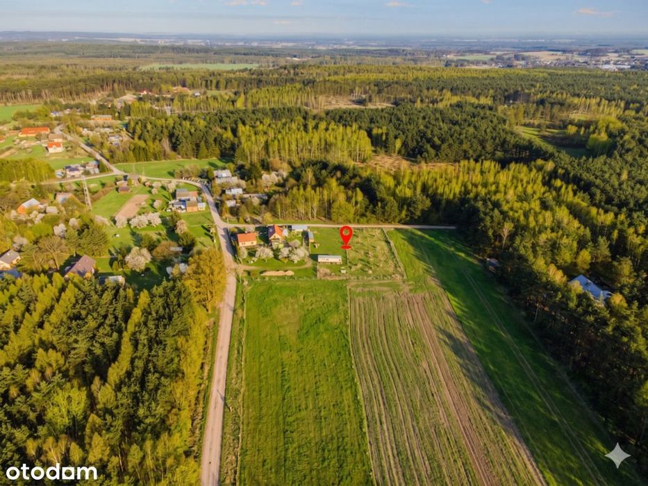 gotowe przyłącze wody | przy lesie | dacza w cenie - Widok 4
