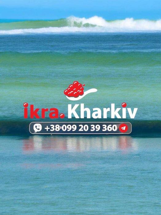 Икра красная Deluxe Акция
