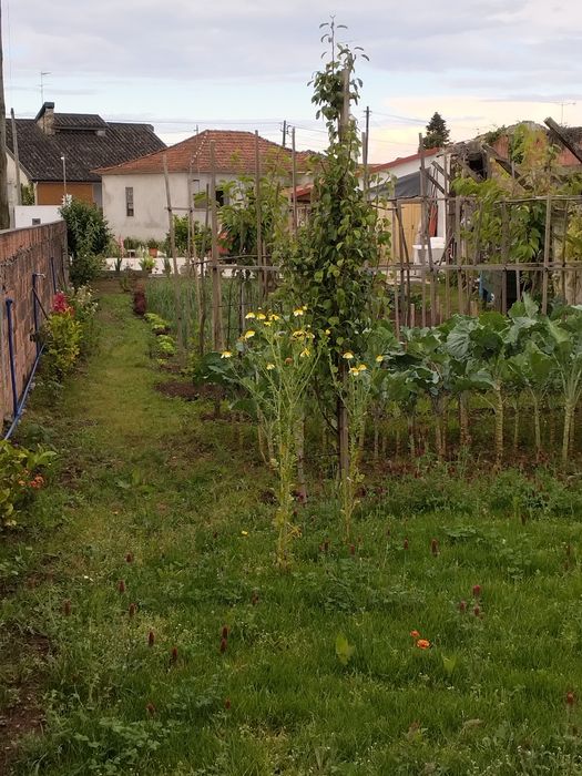 Moradia T2 à venda em Lourosa, Santa Maria da Feira — foto 8