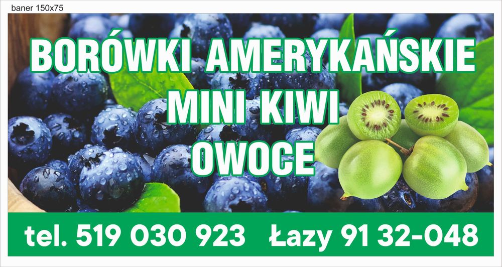 Borówki amerykańskie owoce 1 kg