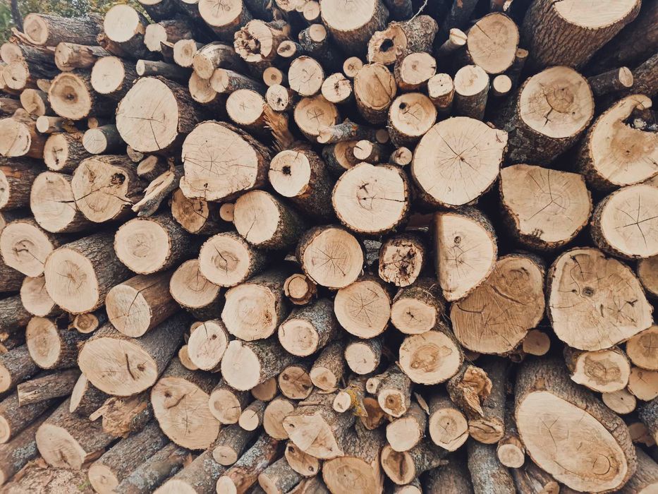 Дрова дуб акация доставка колотые и метровки, цена супер! Сосна берёза