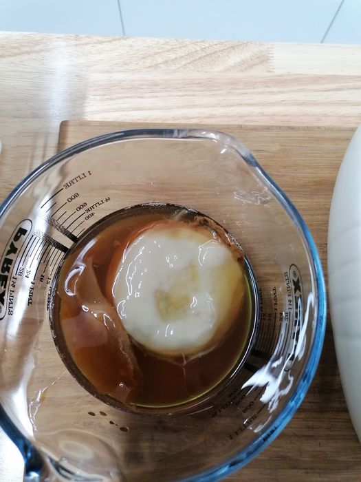 Kombucha - Scoby