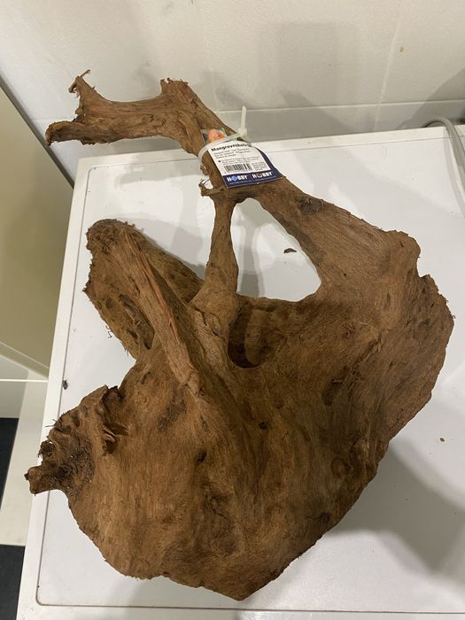 Корень коряга корч пень дерево Мангр с Малайзии