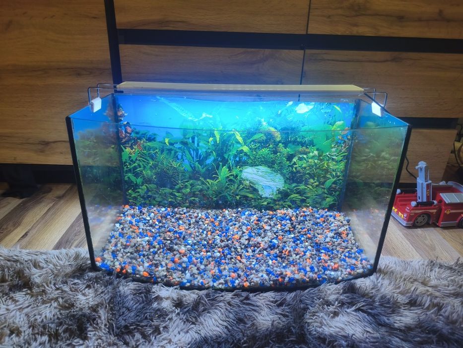 Akwarium 60 litrów plus kamyczki i lampa LED