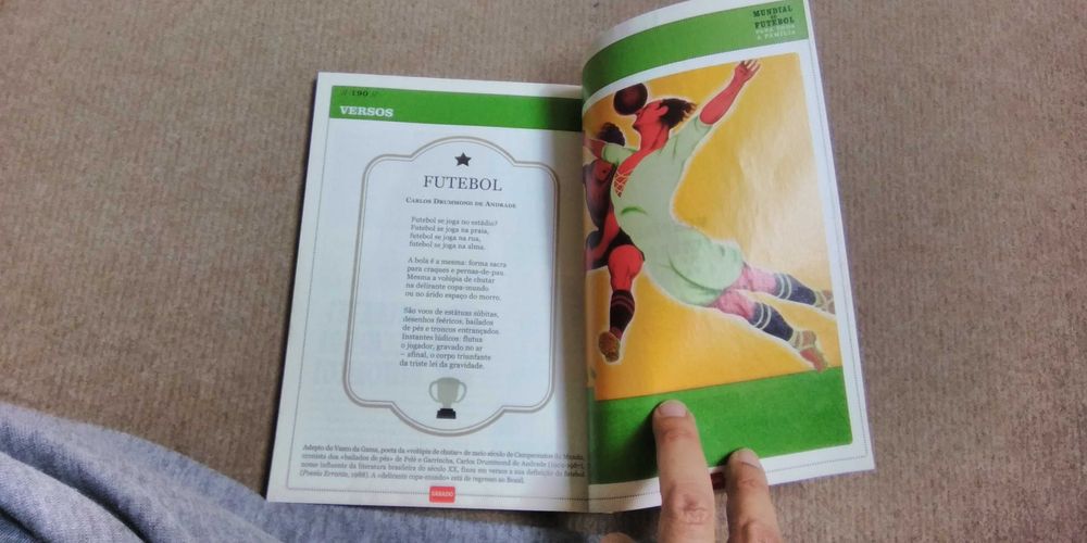 Mundial de Futebol para toda a família