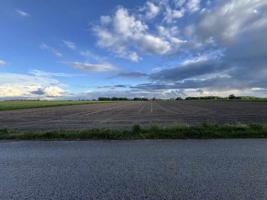 Działka rolna 4,88 / 9,76 ha za Żelazową Wolą