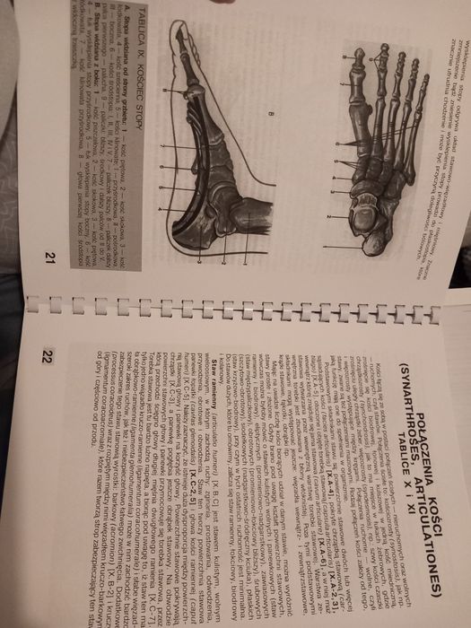 Książka "Mały atlas anatomiczny" druk