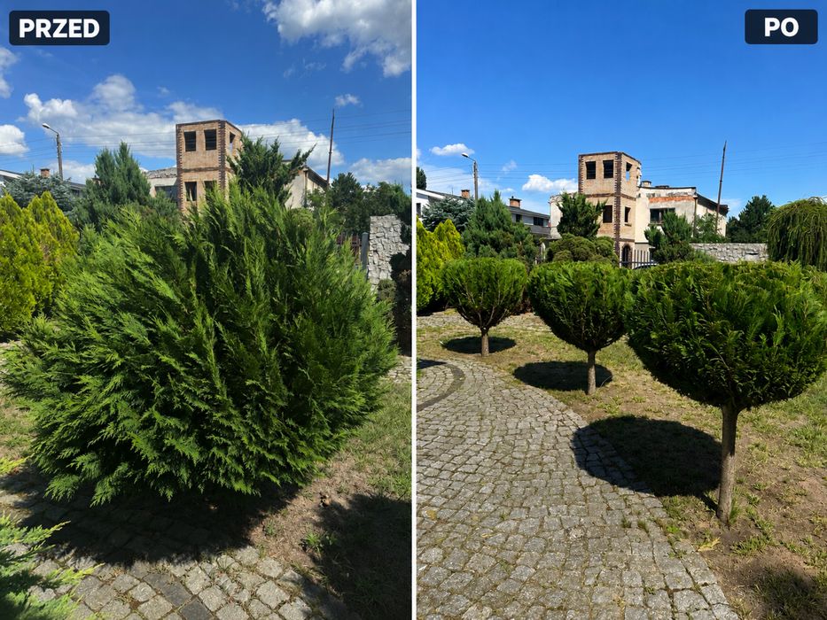 Ogrodnik Nakło nad Notecią – pielęgnacja, rabaty, nasadzenia