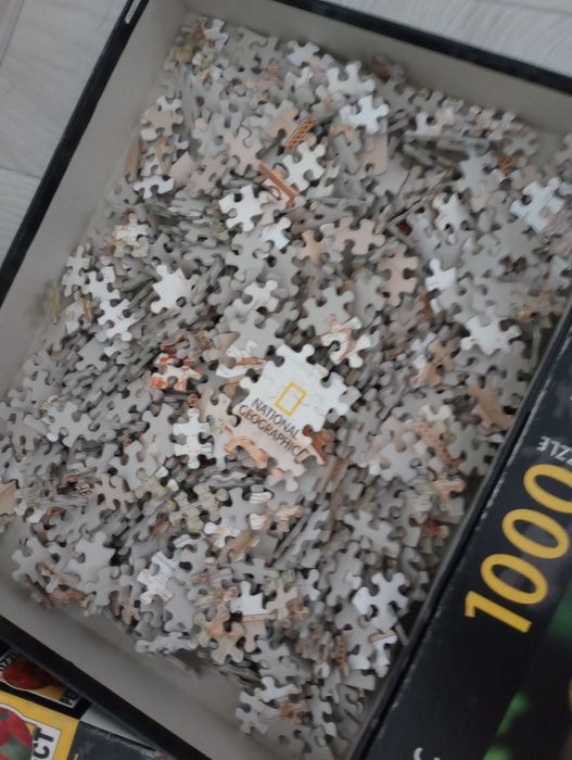 Puzzle 1000 sztuk żaba panoramiczna ogromna mapa Brazylia