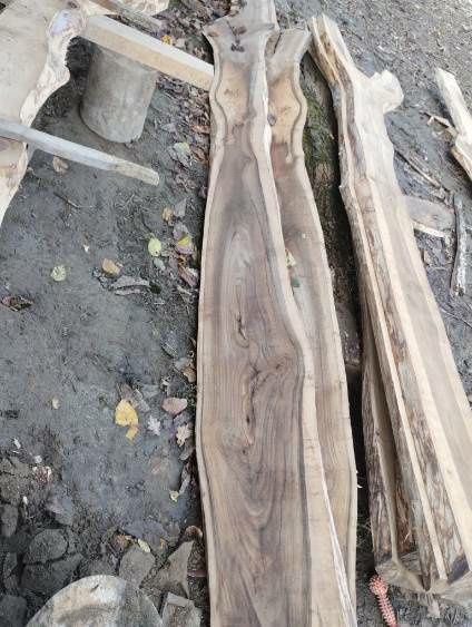 Deski orzecha włoskiego