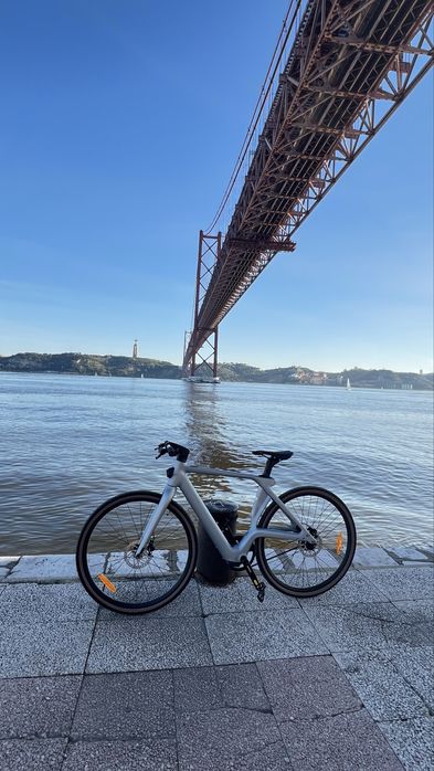 Bicicleta Fiido Air Carbon - electrica