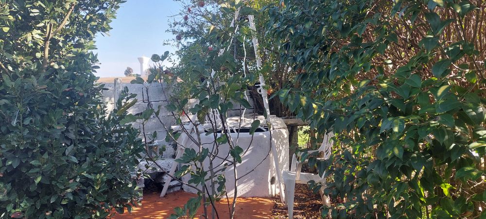 Horta com diversas árvores de fruto, armazéns e poço de água