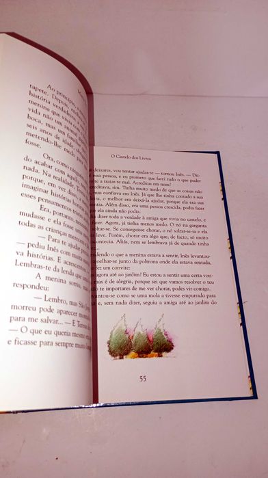 O Castelo dos Livros