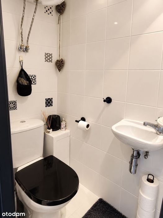 Zdjęcie 7