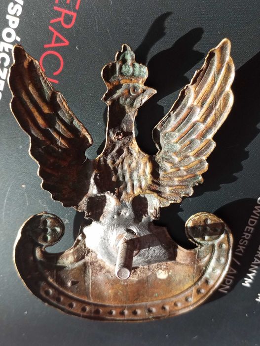 Orzeł wz. 19. Oryginalny.