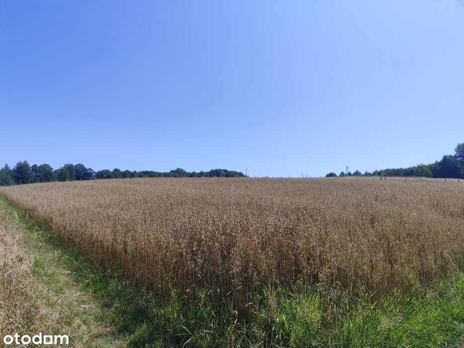 Sprzedam działke budowlaną Białka pow. Rzeszowski