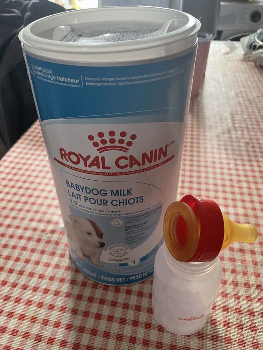 Royal Canin Baby Milk