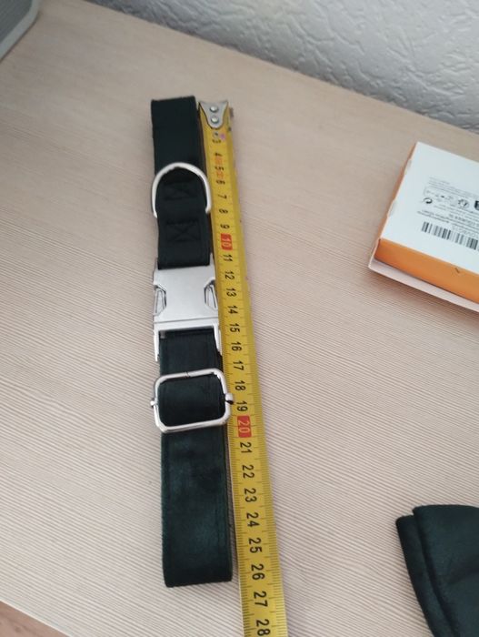 Elegancka obroża dla psa