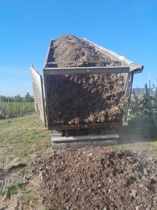 Podłoże popieczarkowe