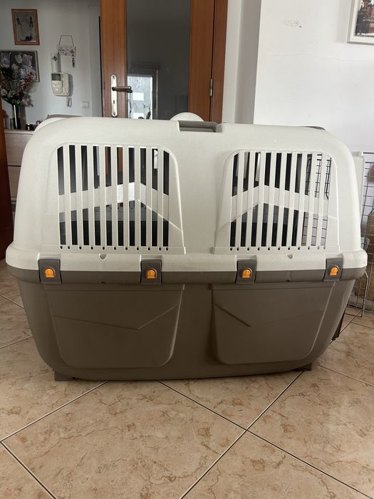 Transportadora Skudo T6 XL