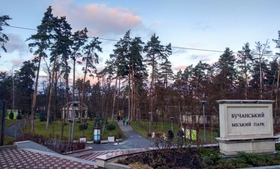 Продаж 2х пов. дуплекса 111м2 в Лісовій Бучі земельна ділянка 3 сотки. ГАЗ!