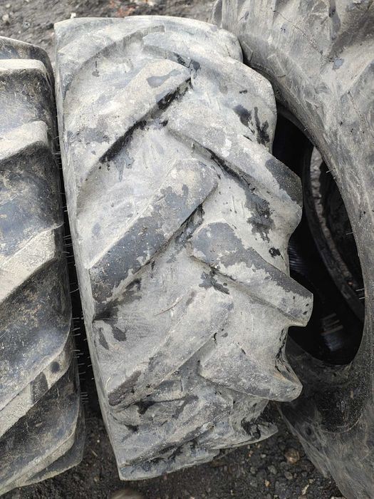 Opona rolnicza 11.5/80-15.3 Mitas miniładowarka Giant Weidemann