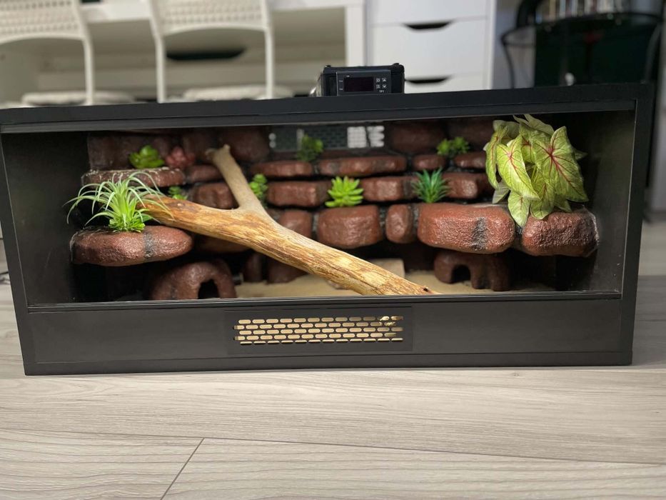 Terarium dla gekona lamparciego