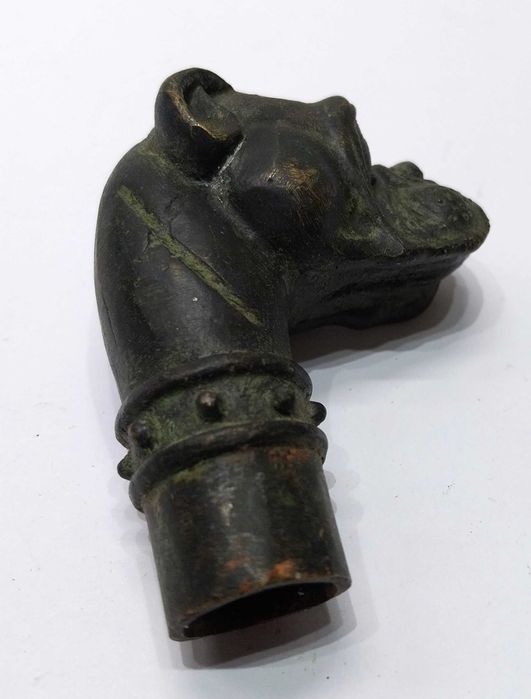 Rara maçaneta / cabo de bengala antigo cabeça de cão Bulldog