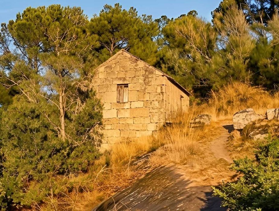 Quinta com casa para recuperar! 1.3hec farm with granit house (ruin) (Oliveira do Hospital)