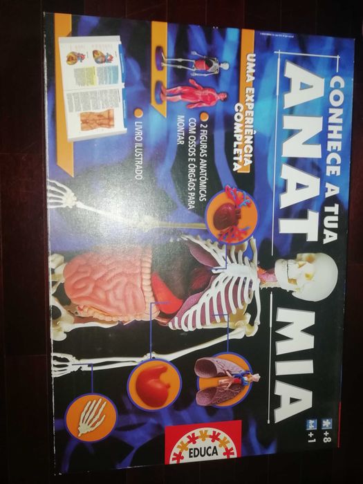 Jogos Didáticos para várias Idades