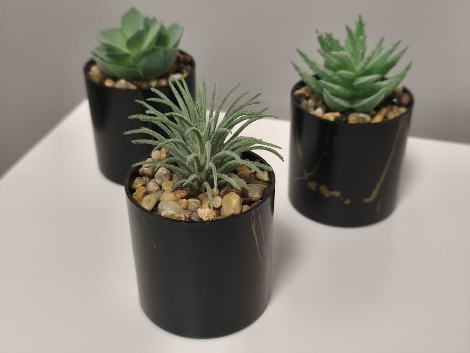 Conjunto de 3 Pequenos Cactos - Decoração Premium Preto / / Dourado