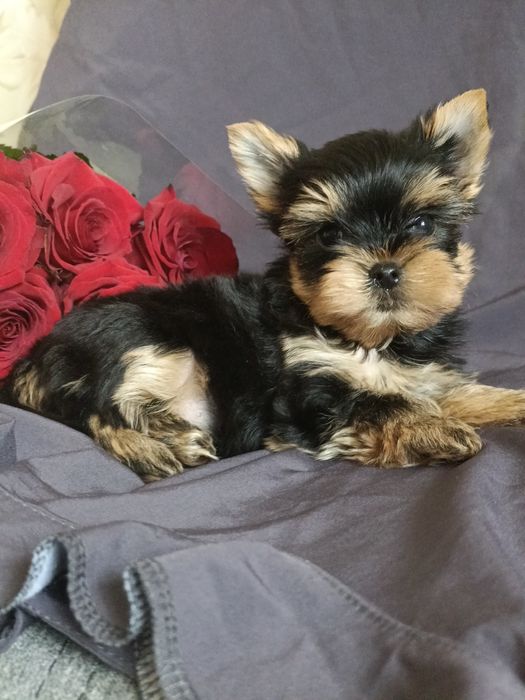 Неймовірно крутезний хлопчик