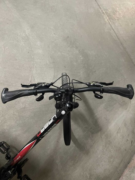 rower technobike urban