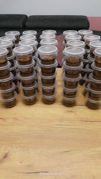 Pająk ptasznik Megaphobema robustum L2