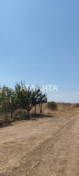 Участок в новом районе с. Александровка