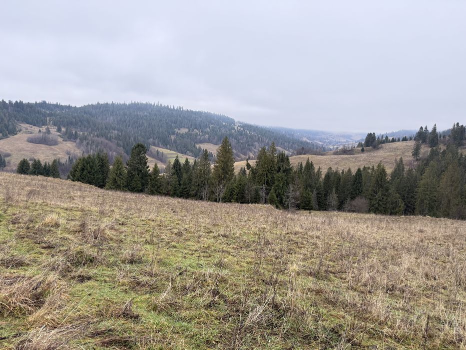 Продається ділянка осг в с. Пилипець
