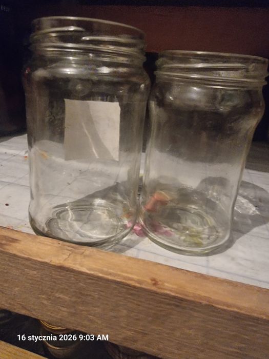 Oddam Sloiki dżemówki