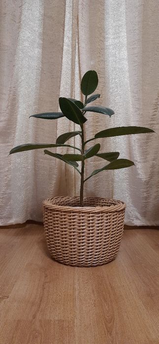 Дровниця,кашпо для каміна