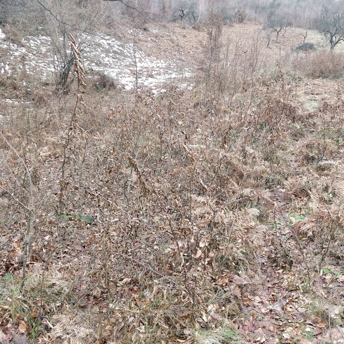 Продається земля 14 соток