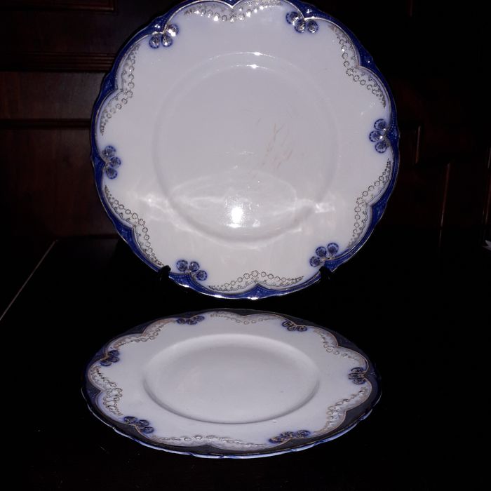 Limoges  e  vista alegre (pratos rerrinas)